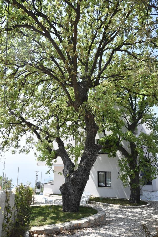 Gogo'S Boutique Hotel Dhërmi Dış mekan fotoğraf
