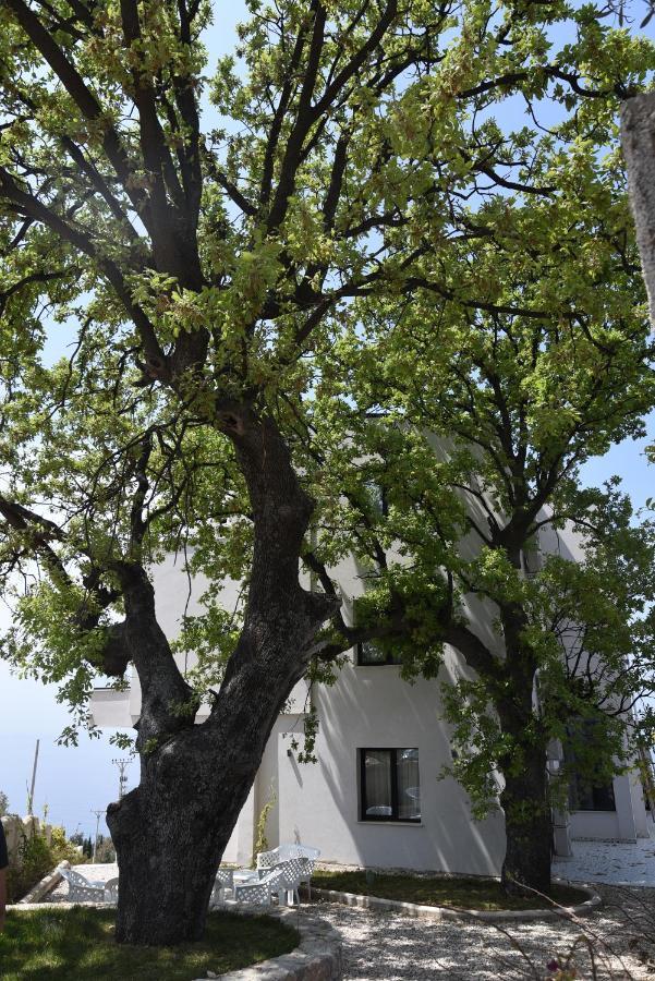 Gogo'S Boutique Hotel Dhërmi Dış mekan fotoğraf