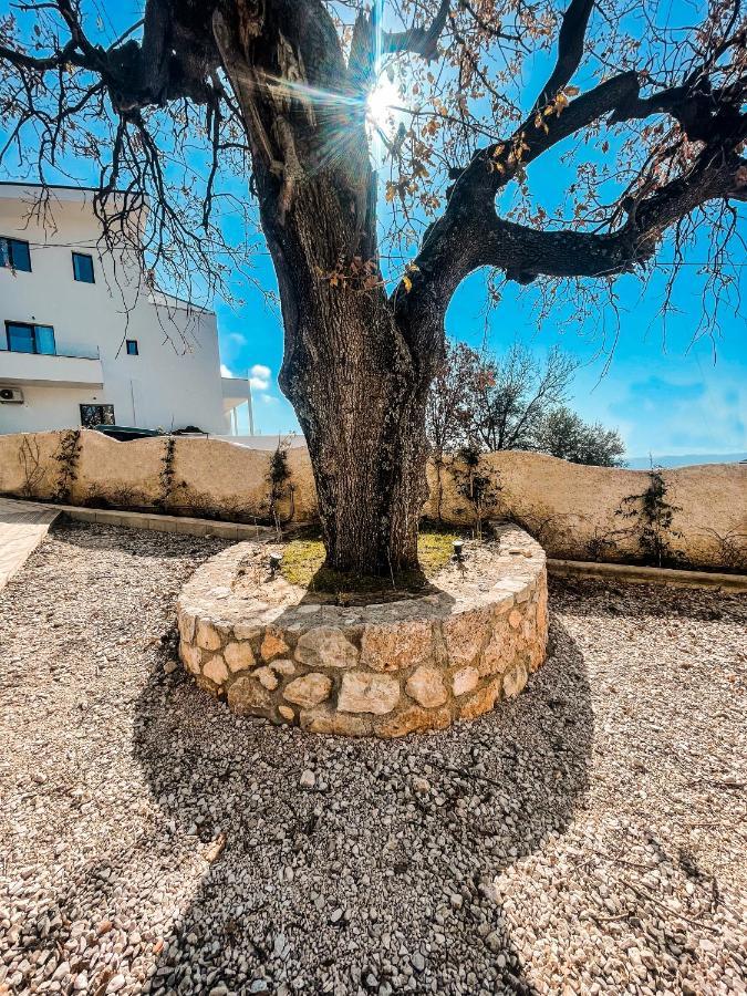 Gogo'S Boutique Hotel Dhërmi Dış mekan fotoğraf